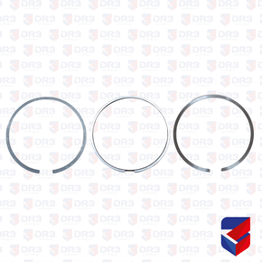 Jogo Anel Pistao Scania S4 S5 P G R STD 1304642 1424902 Original