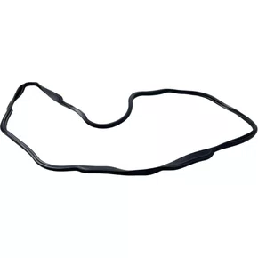 Junta Carter Motor DAF XF105 1643512 Bester