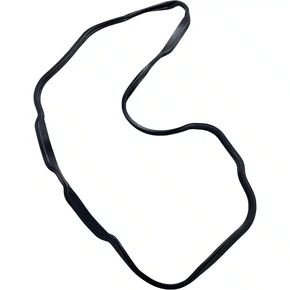 Junta Carter Motor DAF XF105 1643512 Bester