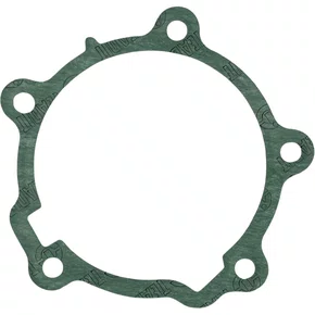 Junta Flange Traseira Caixa Cambio Scania GRS905 GRS895 Santa Cruz