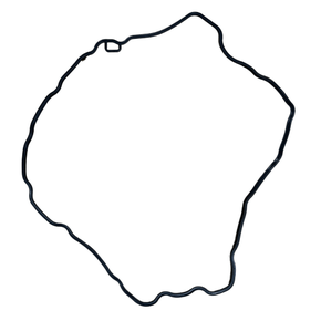 Junta Tampa Valvula Motor Volvo FM D11 20804638 Original