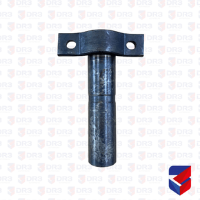 Pino Balanca Truck TE Randon 50mm x 225mm 04018 OL1016