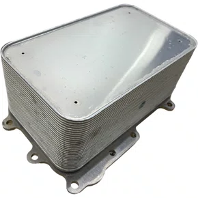 Radiador Oleo Motor DAF XF105 1725348 1780140 Bester