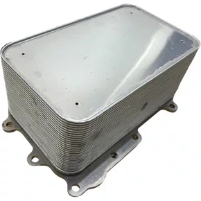 Radiador Oleo Motor DAF XF105 1725348 1780140 Bester