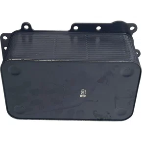 Radiador Oleo Motor DAF XF106 CF Euro 6 2184274 2397569 Original