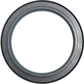 Retentor Dianteiro Virabrequim Mercedes Benz Axor 0169975746 Original