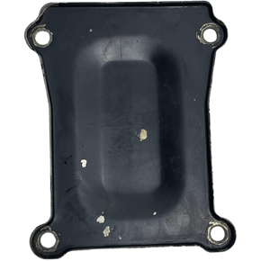 Tampa Protecao Caixa ZF Astronic DAF XF105 1897024 Original