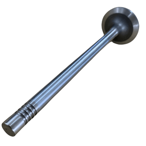 Valvula Admissao Motor DAF MX13 CF85 XF105 1789874 Riosulense