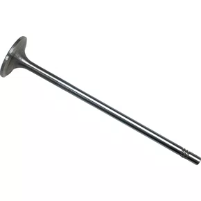 Valvula Admissao Volvo D13 Euro 5 20712128 20740798 21428655 Eaton