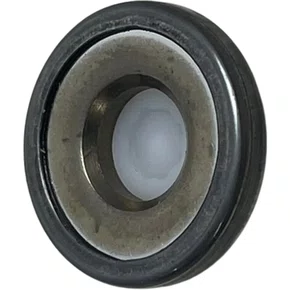 Valvula Retencao Scania Todos Volvo 2447419002 206027 Bosch