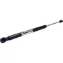 Amortecedor Bagageiro Inferior Scania NTG 2129517 ST387 3114S Globo