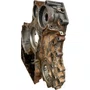 Capa Seca Seletora Scania GRS905 Com Retarder 2000100 Original