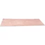 Chapa Ecotech 2970x1000mm Branco 850010027U DMC