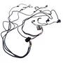 Chicote Unidades Motor Scania P G R Euro 5 1426472 1426471 Original