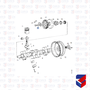 Conico Cubo Virabrequim Scania 112 113 329636 500419 BrCompany
