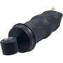 Conjunto Amortecedor Suspensao Cabine Traseiro Iveco Hiway Suspentech
