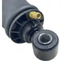 Conjunto Amortecedor Suspensao Cabine Traseiro Iveco Hiway Suspentech