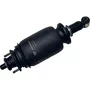 Conjunto Amortecedor Suspensao Cabine Traseiro Scania NTG Original