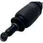 Conjunto Amortecedor Suspensao Cabine Traseiro Scania NTG Original