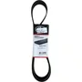 Correia 10PK1510 Volvo Gates