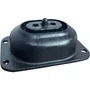 Coxim Motor Dianteiro Volvo FH 1622825 20503551 R656 Rei