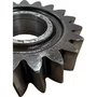 Engrenagem Re Scania 112 113 GR871 19 Dentes 194329 Original