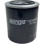Filtro Caixa Diferencial Scania S4 S5 P G R 1301696 1768402 Hengst
