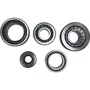 Kit Rolamento Diferencial Scania R780 SKF