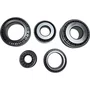Kit Rolamento Diferencial Scania R780 SKF