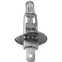 Lampada Farol H1 24v 70w Teslla