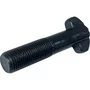 Parafuso Roda Raiada 20x100mm Rosca 2,0 3894013571 ZM Parafusos