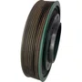 Polia Antivibratoria Virabrequim Volvo VM Euro 6 21534886 Original