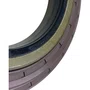 Retentor Pinhao Diferencial Scania R885 1875800 Diesel Technic
