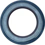 Retentor Traseiro Caixa Volvo Ishift 20791305 Diesel Technic