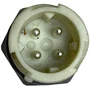 Sensor Velocidade Caixa ZF Traxon Daf Iveco Man Original