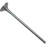 Valvula Escape Volvo FH D13 50 Graus Euro 5 20768519 21428674 Eaton