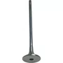 Valvula Escape Volvo FH D13 50 Graus Euro 5 20768519 21428674 Eaton